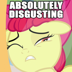 Size: 1080x1080 | Tagged: safe, screencap, apple bloom, earth pony, pony, bloom & gloom, g4, absolutely disgusting, caption, cropped, female, filly, image macro, reaction image, solo, text