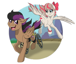Size: 9501x8061 | Tagged: safe, artist:faitheverlasting, angel wings, stellar eclipse, pegasus, pony, g4, top bolt, trade ya!, absurd resolution, duo, female, flying, grin, make a wish, make a wish foundation, male, mare, open mouth, redraw, running, shipping, simple background, smiling, spread wings, stallion, stellarwings, straight, transparent background, unshorn fetlocks, wheelchair, wings