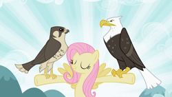 Size: 1920x1080 | Tagged: safe, screencap, fluttershy, bald eagle, bird, eagle, falcon, pegasus, peregrine falcon, pony, g4, may the best pet win, eyes closed, female, flying, mare, perching, smiling, t pose