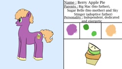 Size: 1280x720 | Tagged: safe, artist:schumette14, little mac, oc, oc only, oc:berry apple pie, earth pony, pony, g4, colt, male, next generation, offspring, old design, parent:big macintosh, parent:sugar belle, parents:bigbelle, parents:sugarmac, reference sheet, solo