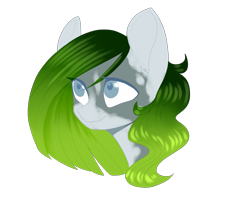 Size: 1741x1477 | Tagged: safe, artist:helemaranth, oc, oc only, earth pony, pony, bust, earth pony oc, simple background, solo, transparent background