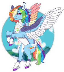 Size: 798x900 | Tagged: safe, artist:malinraf1615, rainbow dash, pegasus, pony, g4, alternate design, alternate hairstyle, backwards cutie mark, butt fluff, chest fluff, cloud, ear fluff, female, flying, hair over one eye, jewelry, leg fluff, mare, markings, necklace, raised hoof, raised leg, redesign, simple background, sky, solo, spread wings, transparent background, unshorn fetlocks, wings