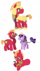 Size: 1280x2270 | Tagged: safe, artist:sandieapple, big macintosh, twilight sparkle, oc, oc:galactic crisp apple, alicorn, earth pony, pony, unicorn, g4, armor, blushing, bouquet, bowtie, colt, father and child, father and son, female, flower, leonine tail, male, mouth hold, new crown, offspring, parent:big macintosh, parent:twilight sparkle, parents:twimac, royal guard armor, ship:twimac, shipping, simple background, straight, twilight sparkle (alicorn), white background