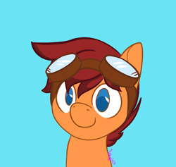 Size: 720x682 | Tagged: safe, artist:inkynotebook, part of a set, oc, oc only, earth pony, pony, bust, commission, earth pony oc, goggles, signature, simple background, smiling, solo, ych result