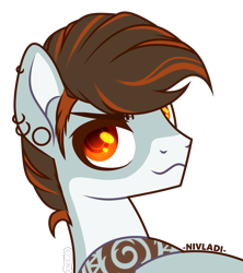 Size: 3246x3656 | Tagged: safe, artist:nivladi, oc, oc only, oc:summer waves, pegasus, pony, crossed arms, ear piercing, earring, eyebrow piercing, high res, jewelry, lifeguard, male, markings, piercing, simple background, smiling, smirk, solo, stallion, tattoo, transparent background, unshorn fetlocks