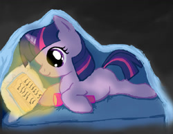 Size: 944x737 | Tagged: safe, artist:kyliesaur, twilight sparkle, pony, unicorn, g4, blank flank, blanket, book, female, filly, filly twilight sparkle, flashlight (object), night, reading, solo, x-ray, younger