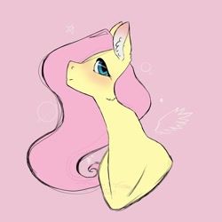 Size: 1024x1024 | Tagged: safe, artist:terato.lust, fluttershy, pegasus, pony, g4, blushing, bust, cute, ear fluff, female, mare, shyabetes, solo