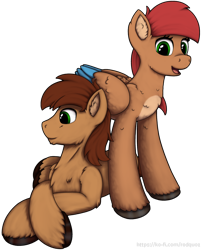 Size: 1000x1232 | Tagged: safe, artist:redquoz, oc, oc only, oc:allegra mazarine, oc:red bark, earth pony, pegasus, pony, blue feather, brown feathers, brown mane, colored hooves, cream feathers, crossed hooves, earth pony oc, feather, female, fluffy, green eyes, looking at you, looking away, male, mare, open mouth, pegasus oc, red mane, scruffy, simple background, smiling at you, stallion, standing over, transparent background, two toned wings, url, watermark, wings