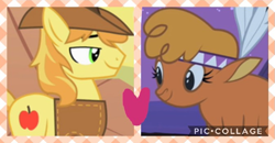 Size: 673x350 | Tagged: safe, edit, edited screencap, screencap, braeburn, little strongheart, bison, buffalo, earth pony, pony, g4, over a barrel, clothes, female, male, ship:braeheart, shipping, shipping domino, stallion, straight, watermark