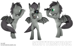 Size: 1280x800 | Tagged: safe, artist:batponyecho, oc, oc only, oc:shutterstock, bat pony, pony, 3d, bat pony oc, bat wings, camera, looking at you, male, simple background, solo, source filmmaker, spread wings, stallion, tail, white background, wings