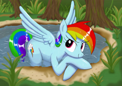 Size: 3508x2480 | Tagged: safe, artist:neoshrek, rainbow dash, pegasus, pony, crossed hooves, cute, dashabetes, female, forest, mare, pond, smiling, solo, spread wings, water, wet, wings