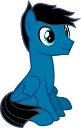 Size: 4000x6274 | Tagged: safe, artist:melisareb, oc, oc only, oc:pony video maker, pegasus, pony, absurd resolution, male, show accurate, simple background, sitting, solo, stallion, transparent background, vector