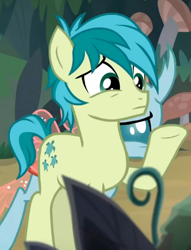 Size: 428x559 | Tagged: safe, screencap, ocellus, sandbar, changedling, changeling, earth pony, pony, g4, non-compete clause, cropped, female, male, solo focus, stallion