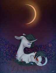 Size: 2296x3000 | Tagged: safe, artist:lovely-pony, oc, oc only, pony, unicorn, female, high res, lying down, mare, moon, night, prone, solo