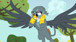 Size: 1280x720 | Tagged: safe, screencap, gabby, griffon, g4, the fault in our cutie marks, cute, gabbybetes, solo