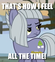 Size: 725x813 | Tagged: safe, edit, edited screencap, screencap, limestone pie, pony, g4, hearthbreakers, caption, cropped, discovery family logo, female, image macro, reaction image, solo, text