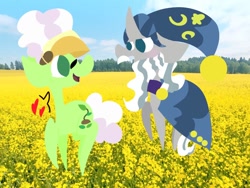 Size: 1024x768 | Tagged: safe, artist:cafebirdo, edit, auntie applesauce, star swirl the bearded, earth pony, pony, unicorn, g4, cape, clothes, female, flower, hat, heart, looking at each other, male, mare, open mouth, open smile, photo, photo edit, raised hoof, shipping, smiling, speech bubble, stallion, swirlsauce