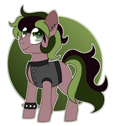 Size: 2390x2659 | Tagged: safe, artist:crazysketch101, oc, oc only, earth pony, pony, circle background, high res, simple background, solo, white background
