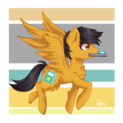 Size: 3000x3000 | Tagged: safe, artist:inlaru, oc, oc only, pegasus, pony, chibi, digital art, gift art, happy, high res, pegasus oc, simple background, solo, wings
