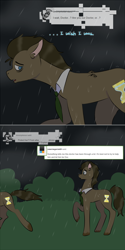 Size: 750x1502 | Tagged: safe, artist:the-solitaryqueen, doctor whooves, time turner, earth pony, pony, ask discorded whooves, lovestruck derpy, g4, doctor who, rain, self ponidox, the doctor, time travel