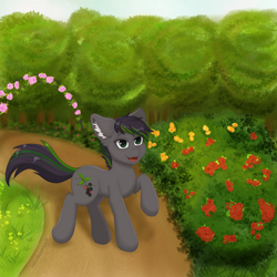 Size: 3000x3000 | Tagged: safe, artist:nekoshanka, oc, oc only, oc:thistle, earth pony, pony, bush, cute, ear fluff, flower, forest, forest background, garden, green eyes, high res, male, open mouth, path, rose, solo, tree