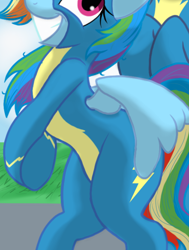 Size: 768x1016 | Tagged: safe, artist:theroyalprincesses, edit, rainbow dash, soarin', pegasus, pony, g4, belly, bipedal, clothes, cropped, female, flirting, grin, hooves together, male, offscreen character, pictures of bellies, ship:soarindash, shipping, smiling, solo focus, straight, uniform, wings, wonderbolts uniform