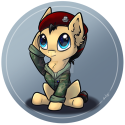 Size: 894x894 | Tagged: safe, artist:safizejaart, oc, oc only, oc:rybik, pony, chibi, clothes, czech republic, deviantart watermark, obtrusive watermark, simple background, solo, transparent background, uniform, watermark