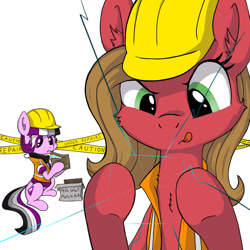Size: 800x800 | Tagged: safe, artist:zoarvek, oc, oc:ace, oc:pun, earth pony, pony, ask pun, ask, female, fourth wall, hard hat, mare