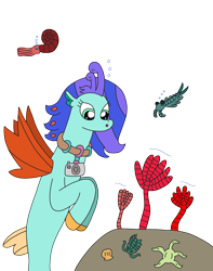 Size: 2354x2991 | Tagged: safe, artist:supahdonarudo, oc, oc only, oc:sea lilly, ammonite, anomalocaris, seapony (g4), starfish, trilobite, camera, crinoid, high res, jewelry, lost world, necklace, shell, simple background, transparent background