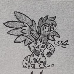 Size: 2229x2229 | Tagged: safe, artist:drheartdoodles, oc, oc only, oc:helios, griffon, angry, caw, flexing, high res, solo, spread wings, standing, traditional art, wings