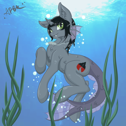 Size: 2000x2000 | Tagged: safe, artist:miscellanea_apgk, half-siren, hybrid, pony, bubble, commission, curved horn, fangs, fish tail, happy, high res, horn, jewelry, kellin quinn, male, necklace, ponified, scales, sleeping with sirens, slit pupils, solo, swimming, underwater, ych result