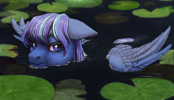 Size: 2800x1600 | Tagged: safe, artist:marinavermilion, oc, oc only, pegasus, pony, lilypad, solo, water