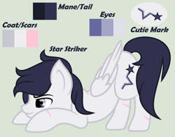 Size: 2209x1730 | Tagged: safe, artist:lominicinfinity, oc, oc only, oc:star striker, pegasus, pony, male, reference sheet, simple background, solo, stallion