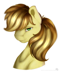Size: 1341x1621 | Tagged: safe, artist:11-shadow, braeburn, earth pony, pony, g4, bust, male, simple background, solo, transparent background