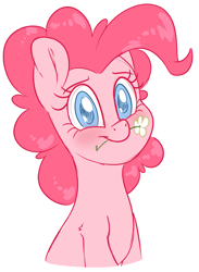 Size: 2087x2854 | Tagged: safe, artist:fluffyxai, pinkie pie, earth pony, pony, g4, blushing, bust, cute, diapinkes, female, flower, flower in mouth, high res, looking at you, mare, mouth hold, simple background, smiling, solo, white background