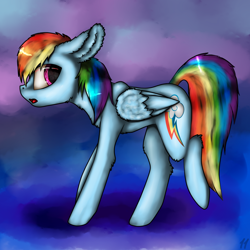 Size: 1000x1000 | Tagged: safe, artist:11-shadow, rainbow dash, pegasus, pony, g4, big ears, female, fluffy, solo