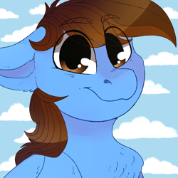 Size: 1082x1082 | Tagged: safe, artist:jayliedoodle, oc, oc only, oc:pegasusgamer, pegasus, pony, bust, chest fluff, cloud, ear fluff, happy, looking at you, simple background, sky, smiling, wings