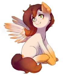 Size: 900x970 | Tagged: safe, oc, oc only, pegasus, pony, pegasus oc, simple background, sitting, solo, white background, wings