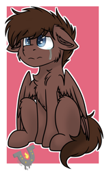 Size: 1132x1776 | Tagged: safe, artist:rokosmith26, oc, oc only, oc:hell berry, pegasus, pony, blue eyes, brown mane, cheek fluff, chest fluff, colt, ear fluff, floppy ears, fluffy, looking up, male, sad, short hair, short mane, simple background, sitting, solo, spread wings, tail, teary eyes, wings, young, younger