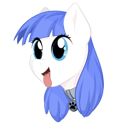Size: 3000x3000 | Tagged: safe, artist:starlight, oc, oc only, oc:snow pup, pony, :p, bust, collar, happy, high res, panting, pet tag, portrait, simple background, solo, tongue out, transparent background
