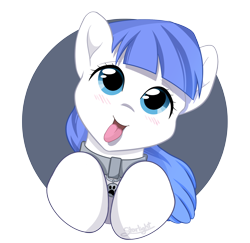 Size: 2058x2000 | Tagged: safe, artist:starlight, oc, oc only, oc:snow pup, pony, :p, blushing, bust, collar, happy, head tilt, high res, panting, pet tag, portrait, simple background, solo, tongue out, transparent background
