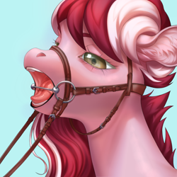 Size: 3000x3000 | Tagged: safe, artist:semaflech, oc, oc only, oc:dusty ember, pegasus, pony, bit, blue background, bridle, commission, ear fluff, high res, lidded eyes, open mouth, realistic, reins, simple background, solo, tack, ych result