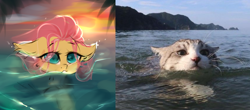Size: 1788x790 | Tagged: safe, artist:haokan, fluttershy, cat, pegasus, pony, g4, beach, cute, female, mare, ponified animal photo, sketch, solo, sunset, swimming, unfinished art, water, wave, wip