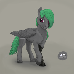 Size: 2560x2560 | Tagged: safe, artist:gammahoof, oc, oc only, oc:mountain pass, pegasus, pony, amputee, high res, male, prosthetic limb, prosthetics, simple background, solo
