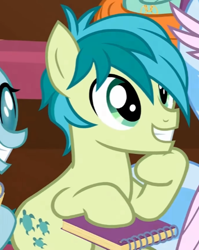 Size: 482x606 | Tagged: safe, screencap, ocellus, sandbar, silverstream, earth pony, pony, g4, the end in friend, cropped, cute, excited, hoof on chin, notebook, sandabetes, smiling, solo focus