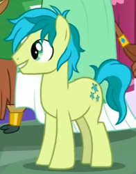 Size: 271x346 | Tagged: safe, screencap, sandbar, yona, earth pony, pony, g4, my little pony: friendship is magic, the last problem, cropped, male, older, older sandbar, solo focus, stallion