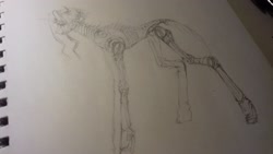 Size: 2560x1440 | Tagged: safe, artist:kiwwsplash, oc, oc only, earth pony, pony, amputee, armor, bone, earth pony oc, lineart, prosthetic limb, prosthetics, skeleton, sketch, solo, traditional art