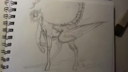 Size: 1632x918 | Tagged: safe, artist:kiwwsplash, oc, oc only, pegasus, pony, augmented tail, eraser, lineart, pegasus oc, raised hoof, sketch, solo, traditional art, wings