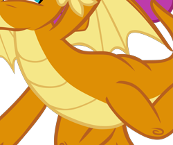 Size: 4157x3475 | Tagged: safe, artist:memnoch, edit, vector edit, smolder, dragon, g4, molt down, belly, cropped, dragoness, female, high res, pictures of bellies, simple background, solo, transparent background, vector