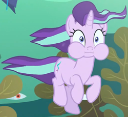 Size: 1154x1063 | Tagged: safe, screencap, starlight glimmer, fish, pony, unicorn, every little thing she does, g4, female, holding breath, mare, puffy cheeks, seaweed, solo, underwater, water, wide eyes